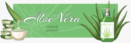 Spa poster. Aloe vera hand drawn isolated element. Plant sketch of green leaves. Cosmetic medicine gel. Retro herbs, health beauty. Soap in bottle. Advertising banner. Vector watercolor backgroundのイラスト素材