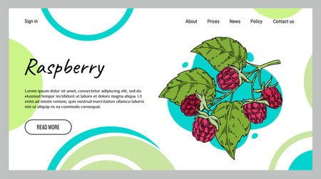 Raspberry web banner. Abstract background with botanical hand drawn sketch element. Landing page template. Wild forest leaves organic food, tasty and healthy dessert. Copy space. Vector illustrationのイラスト素材