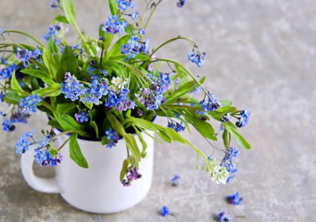 Bouquet of blue, pink and white forget-me-nots in a white ceramic mug on a gray concrete background. Spring flowers.の写真素材