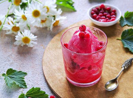 Summer dessert, fruit ice or frozen sorbet or granite from red currant puree and sugar syrup in a glass on a light concrete background. Frozen desserts.の写真素材