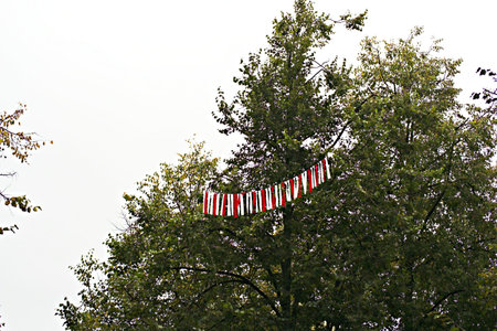 White and red ribbons in the colors of the national Belarusian flag in the courtyard of a...