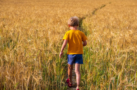 A boy in an orange T-shirt and blue shorts walks through a wheat field. Life in the countryside, holidaysの写真素材