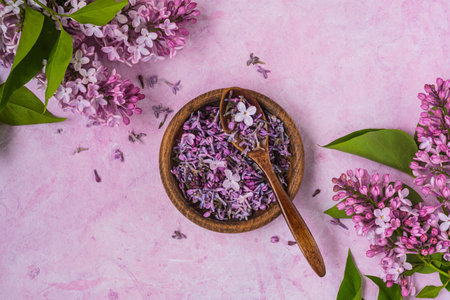 Ingredient, plucked lilac flowers in a wooden bowl and spoon prepared on a pink concrete background. Use of edible wild plants and flowers in cooking or aromatherapy. top view, copyspaceの写真素材