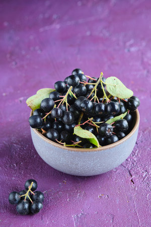 Fresh chokeberry berries in a brown ceramic bowl on a purple concrete background. harvest.の写真素材