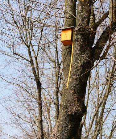 Orange birdhouse on a high tree in the yard. Attracting birds to gardens, ecology, ecosystem. Bird...