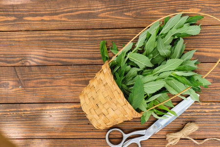 Cut mint stems in a wicker basket on a wooden background. Preparation of medicinal herbs. Preparation of herbal tea, herbal infusionsの写真素材