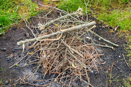 A pile of dry branches for starting a fire. Hiking, camping