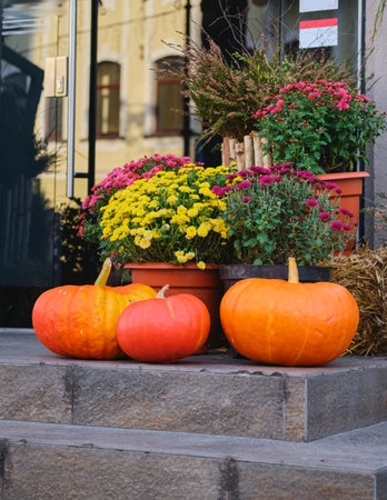 Outdoor decorative fall arrangement with seasonal flowers, various pumpkins.. Fall decor. Thanksgiving.の写真素材