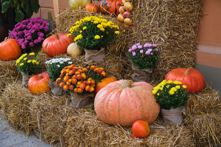 Outdoor decorative fall arrangement with seasonal flowers, various pumpkins, and hay bales. Fall decor. Thanksgiving.の写真素材
