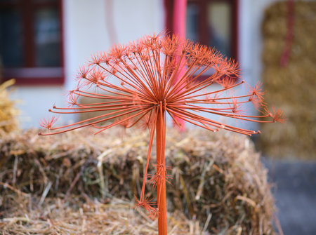 Autumn outdoor decorations made from dried plants and hay bales on the street. Seasonal decor.の写真素材