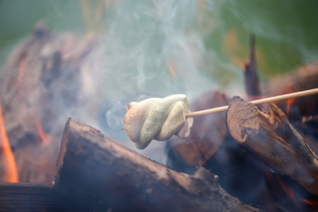 Grilling marshmallows on fireの写真素材