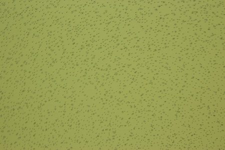 green background