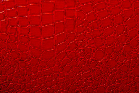 Skin texture の写真素材