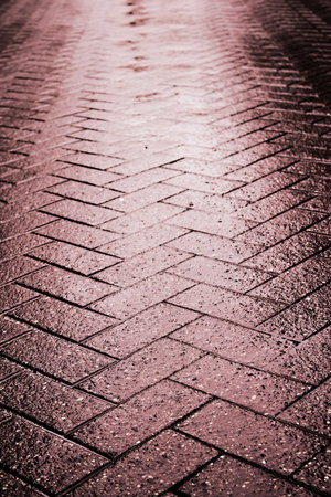 Wet gray tile stone wayの写真素材