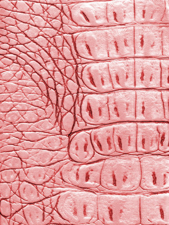 leather texture for backgroundの写真素材