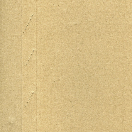 Textured recycled cardboard with natural fiber parts の写真素材