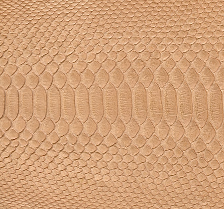 Snake skin background  