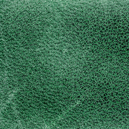 green textured backgroundの写真素材