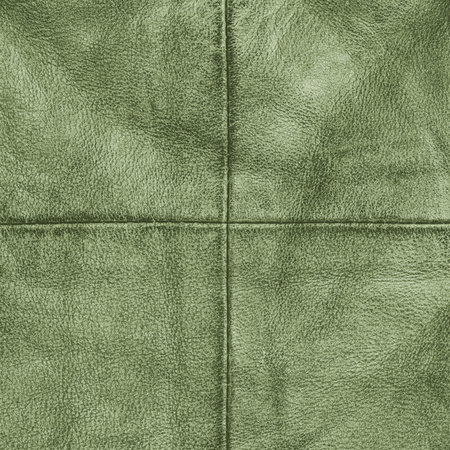 light green leather texture as backgroundの写真素材