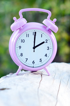 alarm clock outdoors, standing on a tree