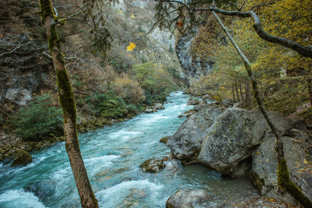 Mountain river in forest and mountain terrainの写真素材