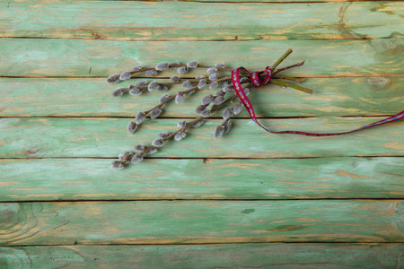 branches of willow on a wooden backgroundの写真素材