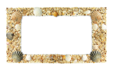 Frame photos of shells, isolated on a white background