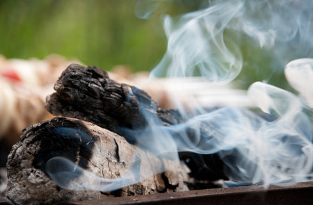 White smoke rises over the bonfire and kebabの写真素材