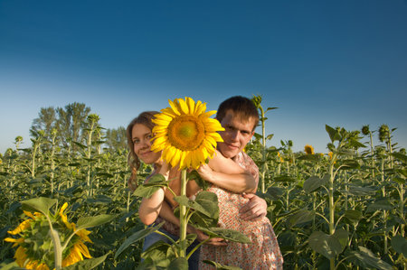 Happy young couple and sunflower on the fieldの写真素材