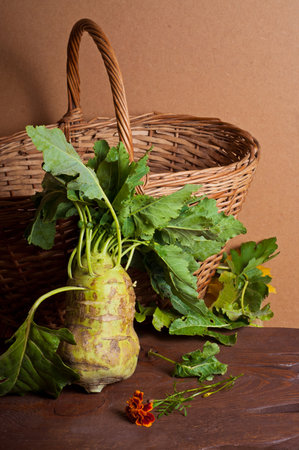 Fresh Raw Kohlrabi Vegetables, flower and basketの写真素材