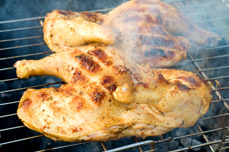the chicken half roasted over a fire on natureの写真素材