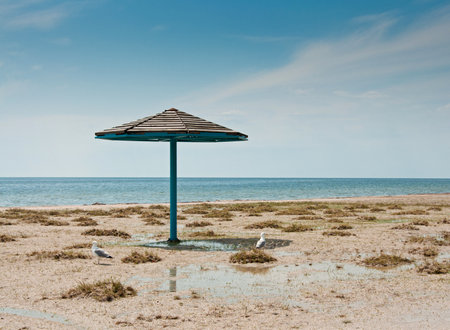 Beautiful empty beach. The parasol and two gulls on the beach near blue seaの写真素材
