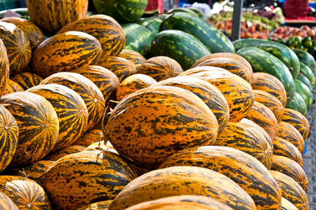 Many big sweet melons and watermelons in the market in Turkeyの写真素材