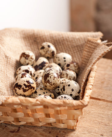 Many Quail eggs on burlap in basket, organic foodの写真素材