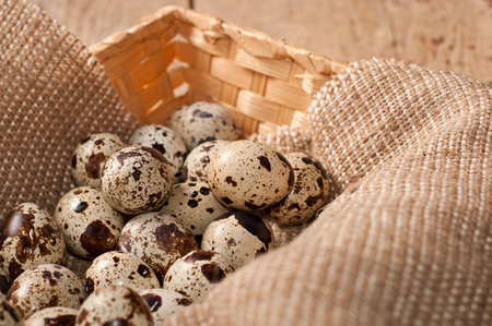 Many Quail eggs on burlap in basketの写真素材