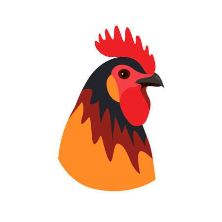 Colored rooster vector illustrationのイラスト素材