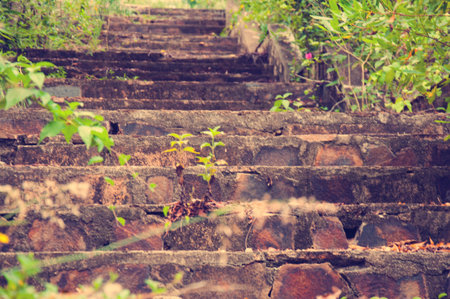 A picturesque staircase  in the jungle of Vietnam.の写真素材