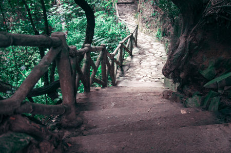 A picturesque staircase  in the jungle of Vietnam.