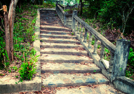 A picturesque staircase  in the jungle of Vietnam.の写真素材