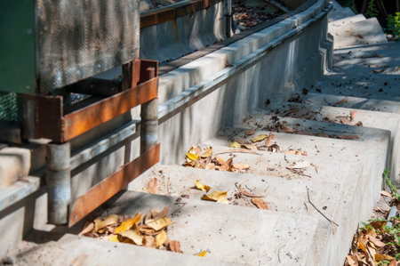 Autumn yellow leaves fallen on the stairs.の写真素材