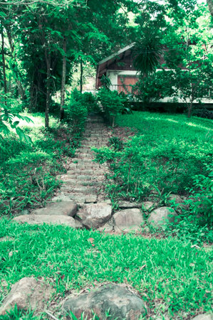 A picturesque staircase leading to the house in the jungle of Vietnam.の写真素材