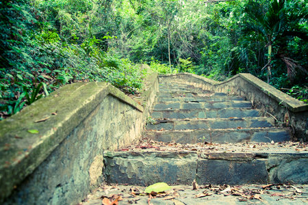 A picturesque staircase  in the jungle of Vietnam.