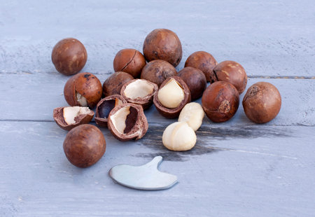Macadamia is an Australian nut, a Kindal. On a wooden fob is a gray-blue color.の写真素材