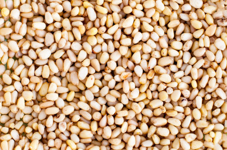 Many cores of pine nuts. Texture. Screensaver. Wallpaper.