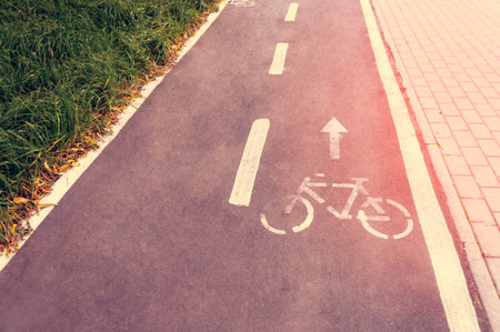 A bicycle path in a public park designed to ensure safety on a bicycle. Toning.