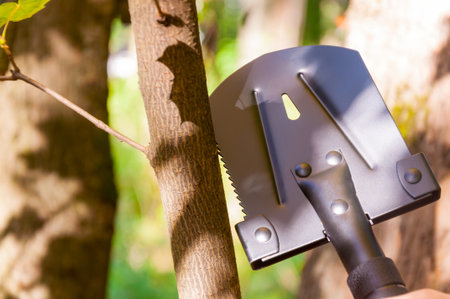 A small tourist shovel, which a man holds in his hand in the forestの写真素材