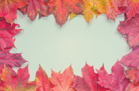 The background. The blank is blue, framed by bright colored maple leaves. Autumnの写真素材