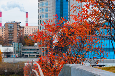 City view. Look from above from an autumn park with bright trees to a modern office building and to old residential buildings. Pipe boiler room with smoke. With the blurの写真素材