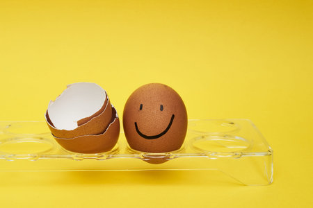 Chicken eggs in an egg holder. Full tray of eggs. Half an egg, egg yolk, shell. Emotion and facial...