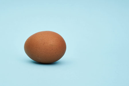 One chicken egg. Close up. Healthy eating.